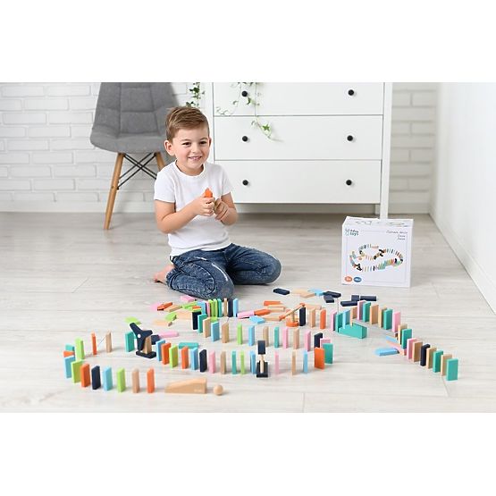 Barevné Domino Adam Toys