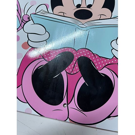 BAZAR - Dětská knihovna Minnie Mouse
