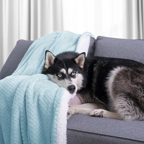 Deka SHLEEPY barva světle modrá žakárový vzor klasický styl 70x150