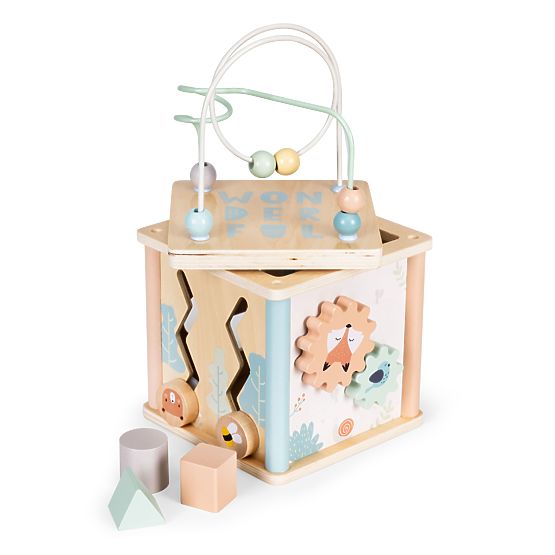 Dřevěná vzdělávací kostka s tvary ECOTOYS