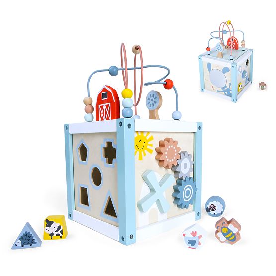Dřevěná vzdělávací kostka sorter +kostky ECOTOYS