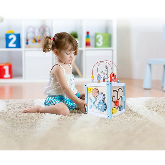 Dřevěná vzdělávací kostka sorter +kostky ECOTOYS