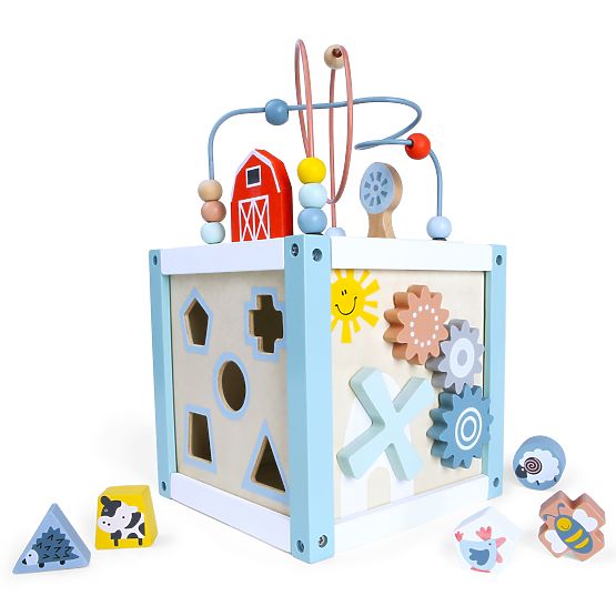 Dřevěná vzdělávací kostka sorter +kostky ECOTOYS