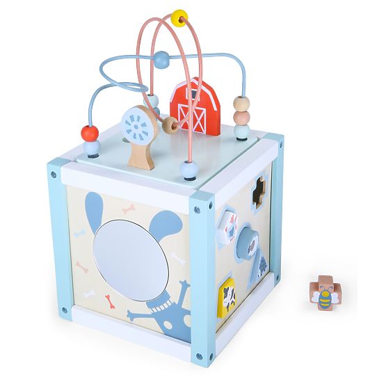 Dřevěná vzdělávací kostka sorter +kostky ECOTOYS
