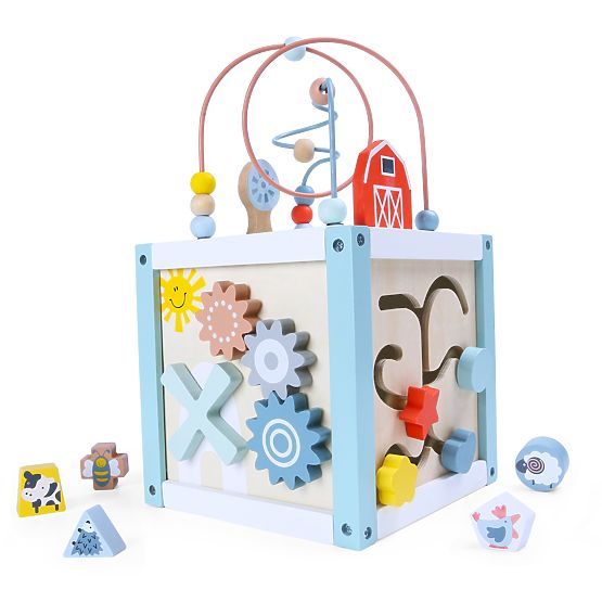 Dřevěná vzdělávací kostka sorter +kostky ECOTOYS