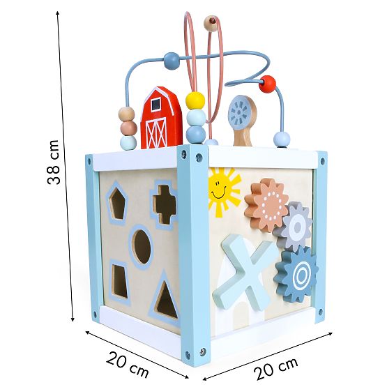 Dřevěná vzdělávací kostka sorter +kostky ECOTOYS