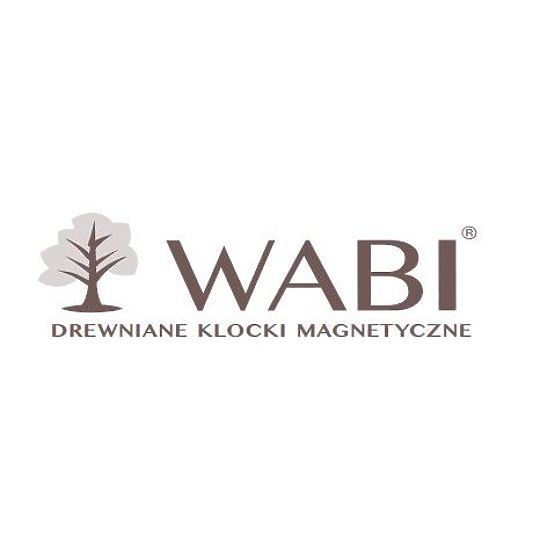 Dřevěno-magnetické kostky WABI, 40 prvků