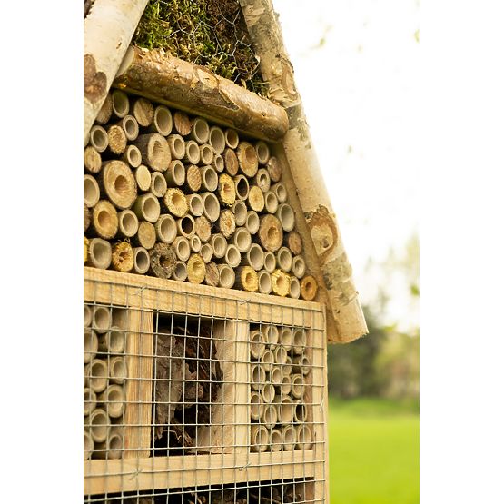 Hmyzí domek Bug XXL