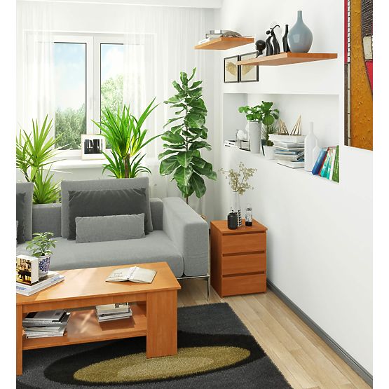 KOMODA CL3/40 PK OLŠE