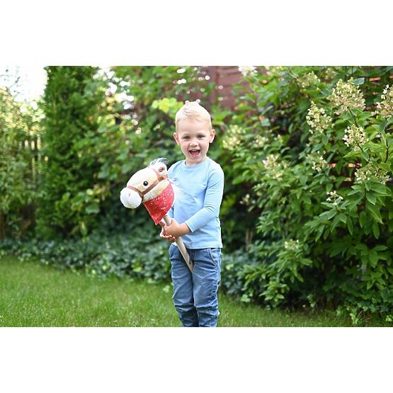 Koník na tyči Achał Hobby Horse
