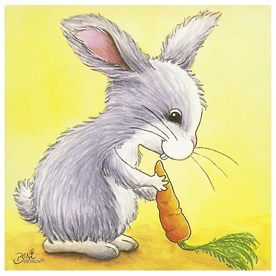 Kostky s obrázky zvířátek