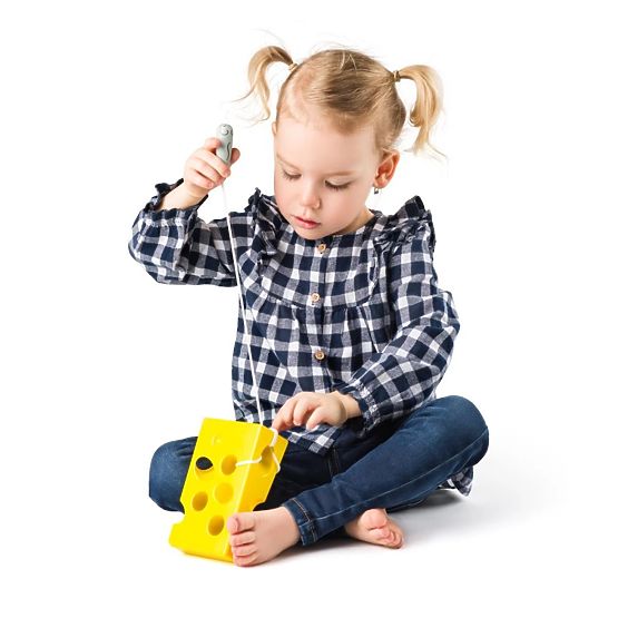 Labyrint sýr pro myšku