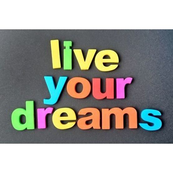 Magnetická barva - černá