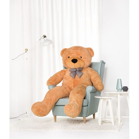 Medvěd Gustav Medový