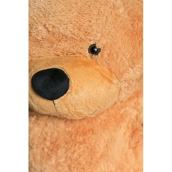 Medvěd Gustav Medový