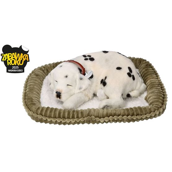 Perfect Petzzz Adoptujte dýchajícího dalmatina