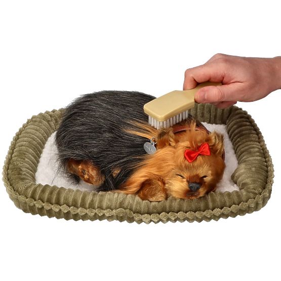 Perfect Petzzz Chrápající štěně York