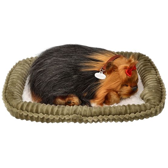Perfect Petzzz Chrápající štěně York