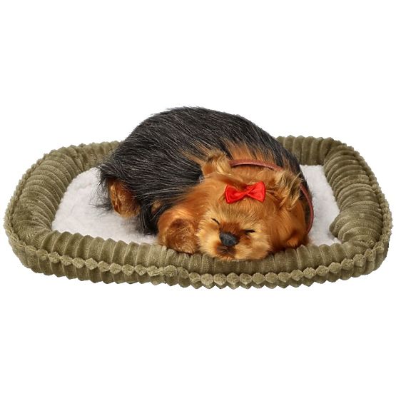 Perfect Petzzz Chrápající štěně York