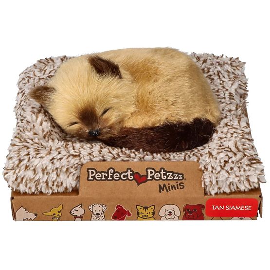 Perfect Petzzz Malé siamské kotě
