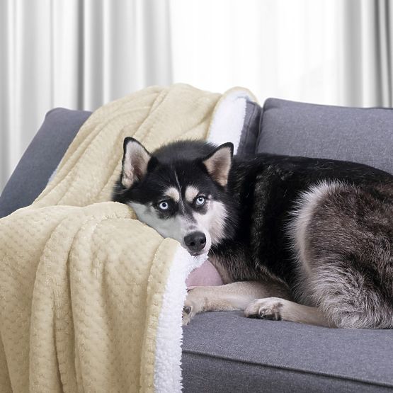 Přikrývka SHLEEPY barva béžová s žakárovým vzorem klasický styl 220x240