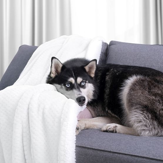 Přikrývka SHLEEPY barva bílá s žakárovým vzorem klasický styl 130x180