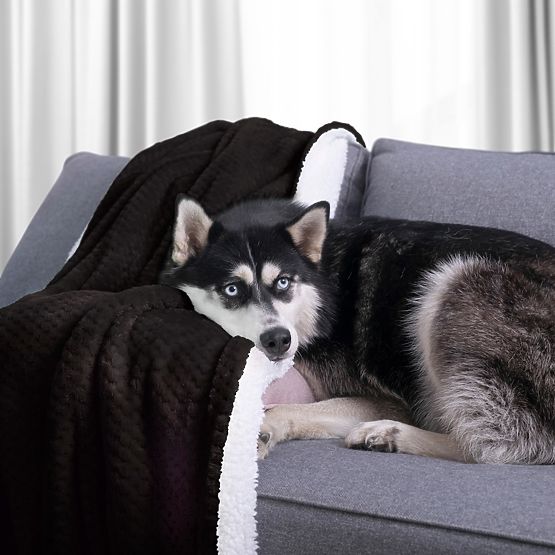 Přikrývka SHLEEPY černá s žakárovým vzorem klasický styl 130x180