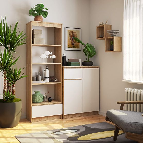 REGÁL R60 1SZ 4P CLP PK DUB SONOMA / BÍLÁ