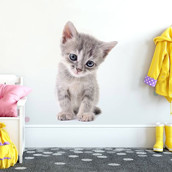 Samolepka na zeď - Kotě