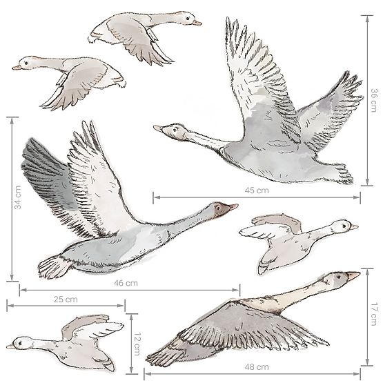 Samolepky na zeď - hejno létajících hus