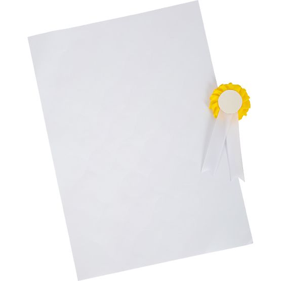 small foot Sada péče o koně s taškou