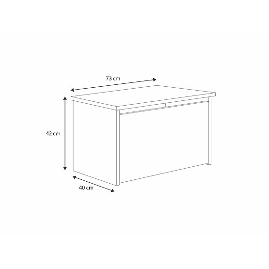 Truhla na hračky Daria bílá s potiskem Sloník