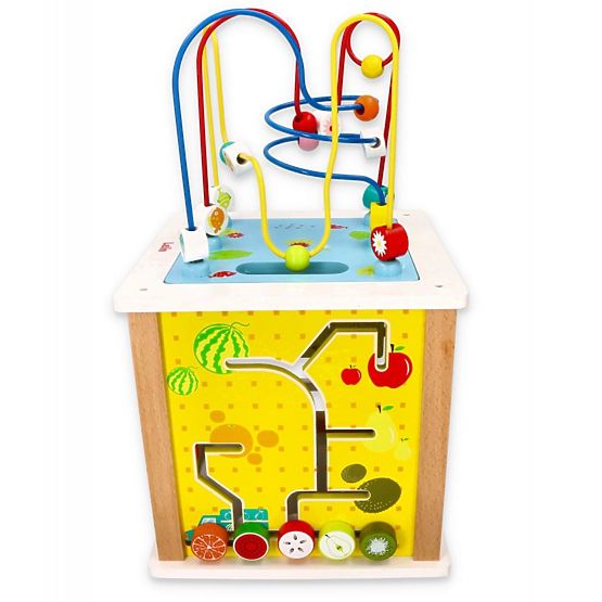 Vzdělávací hračka 5v1 - Příroda