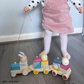 Bigjigs Baby Dřevěný vláček se zvířátky, Bigjigs Toys