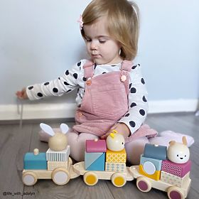 Bigjigs Baby Dřevěný vláček se zvířátky, Bigjigs Toys