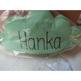 BAZAR Polštářek se jménem mráček mátový - HANKA, Mint Kitten