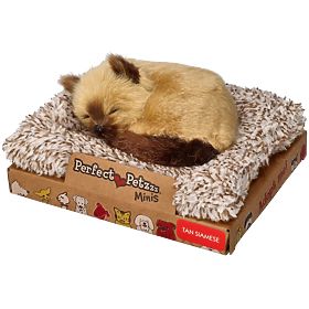 Perfect Petzzz Malé siamské kotě
